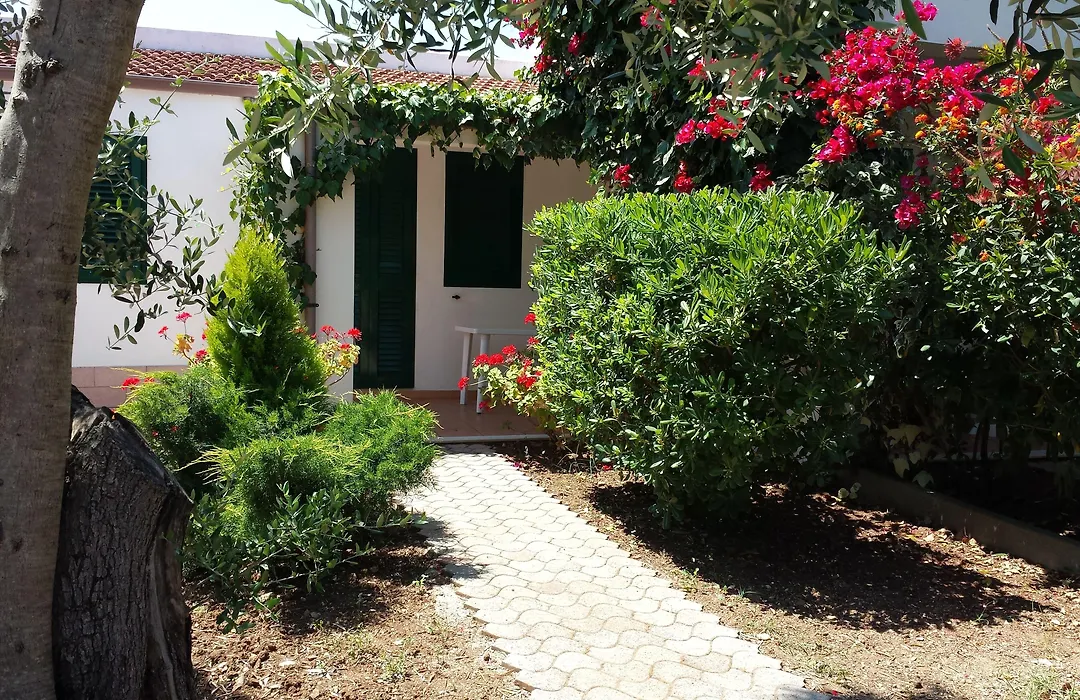 Residence Alba-1